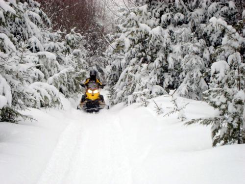 Trail to Rainbow Lake